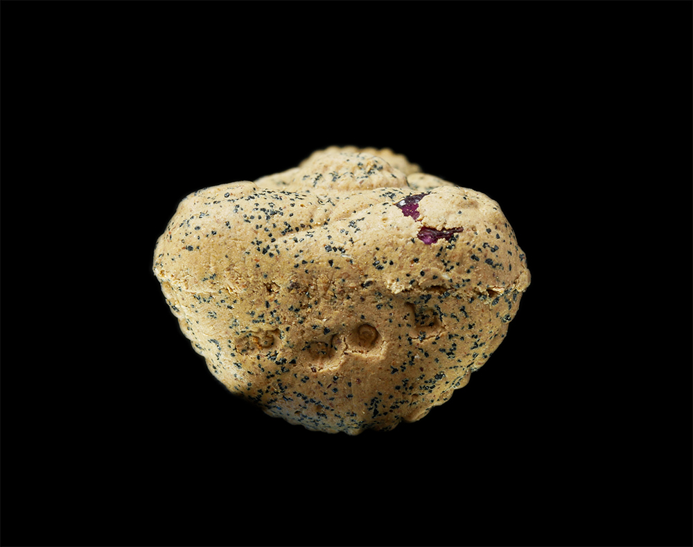 9Dec24 (34)cp.jpg - พระปิดตารวยทันใจ หลวงปู่สิงห์ทอง ปภากโร วัดป่าธรรมวิเวก (ซับตารี) อ.สอยดาว จ.จันทบุรี ปี2559 เนื้อผงพุทธคุณ ผงว่าน ฝังพลอยเสก โรยตะไบทองชนวน หมายเลข ๗ [..] | https://kamulet.in.th